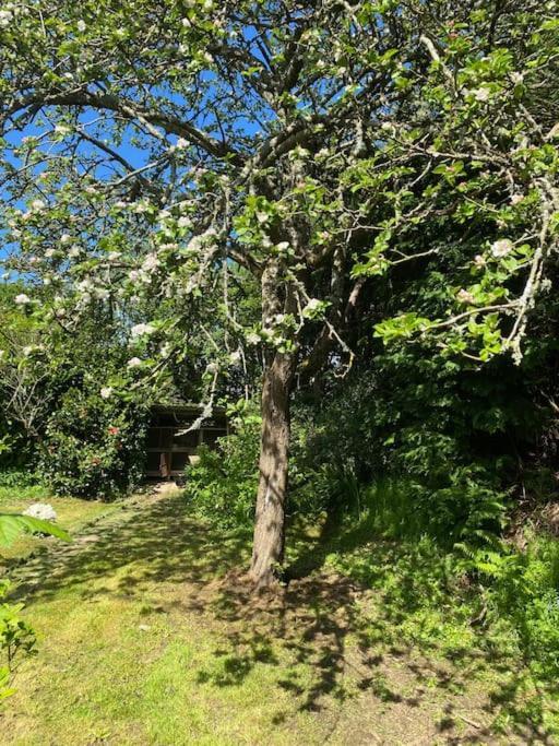 Jolie Maison A La Campagne « Chez Germaine » Digosville Exterior foto